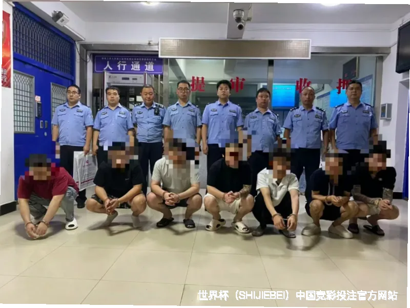 核心团队与专业资质